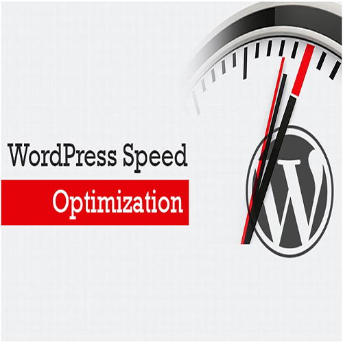 WordPress Speed Optimization